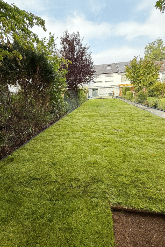 Rollrasen verlegen lassen Witten